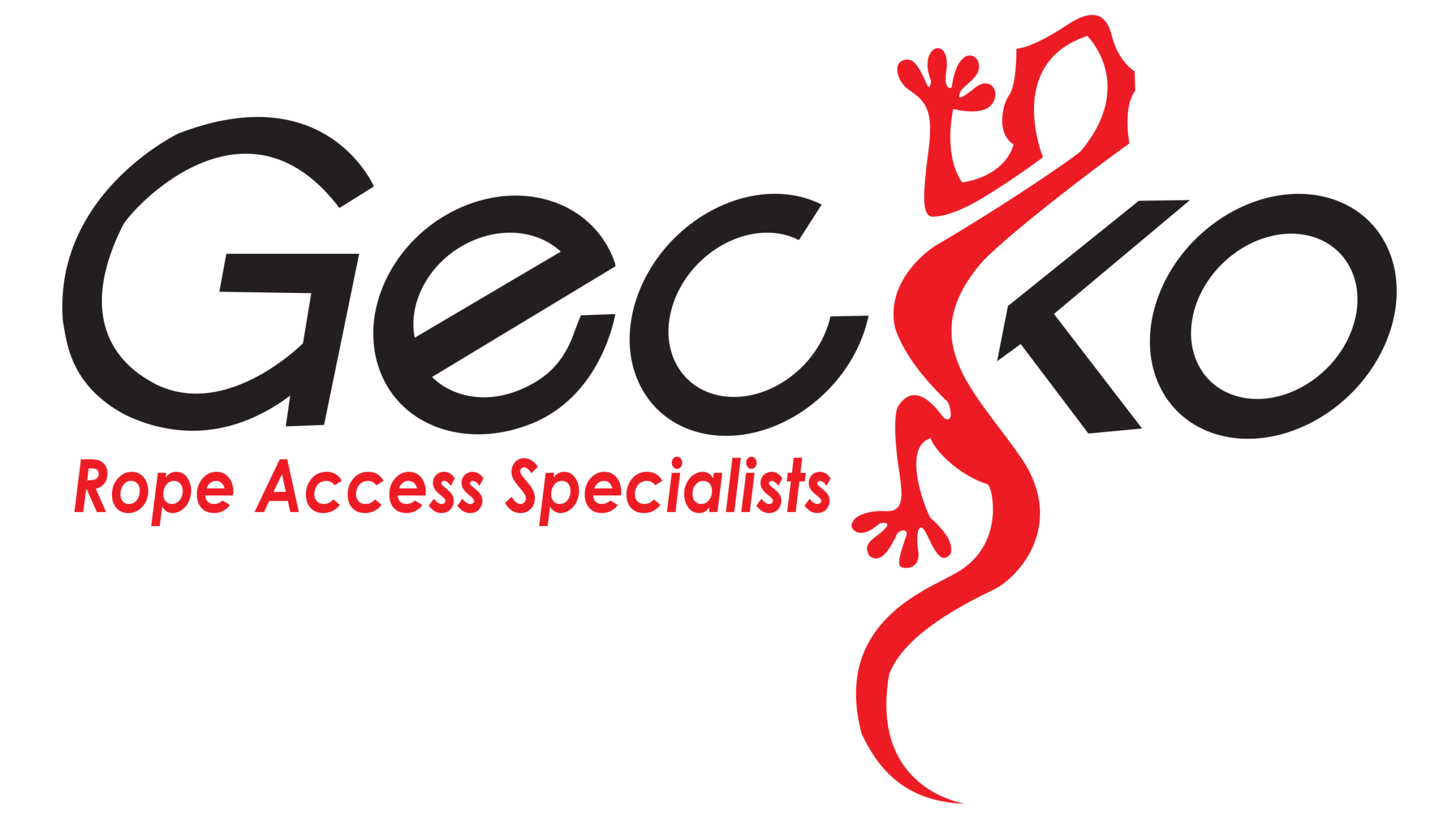 GECKO-LOGO-STICKER